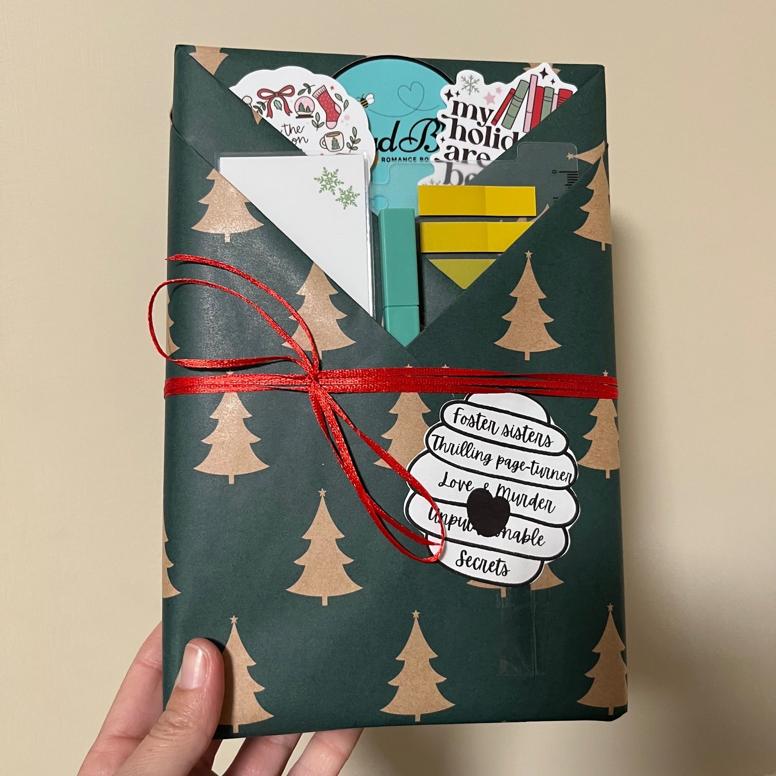 Blind Date with a Book | Thriller, Foster Sisters, Secrets